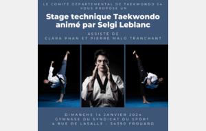 Stage technique avec Selgi Leblanc dimanche 14 janvier 2024 à Frouard
