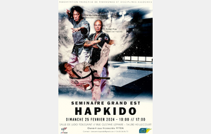 STAGE FEDERAL INTER LIGUE HAPKIDO